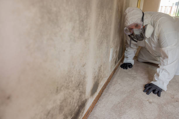 Best Carpet water damage restoration  in Salem Heights, OH